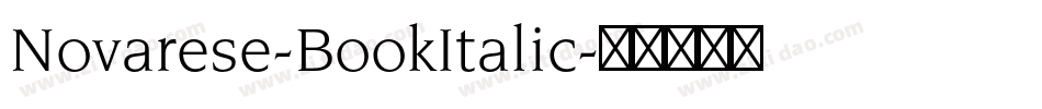 Novarese-BookItalic字体转换