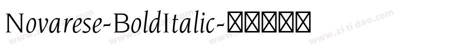 Novarese-BoldItalic字体转换