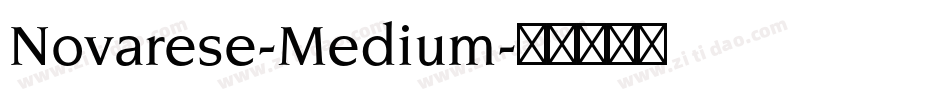 Novarese-Medium字体转换