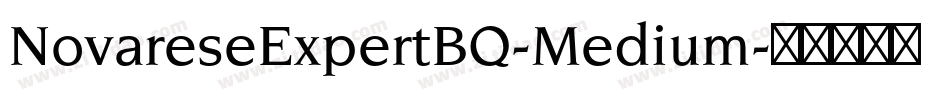 NovareseExpertBQ-Medium字体转换