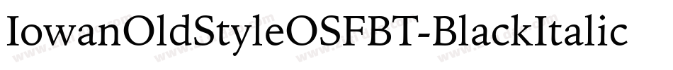 IowanOldStyleOSFBT-BlackItalic字体转换