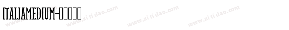 ItaliaMedium字体转换