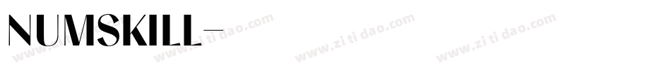 NUMSKILL字体转换