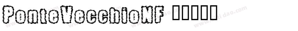 PonteVecchioNF字体转换