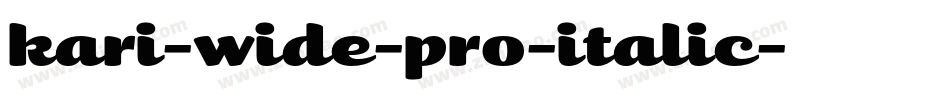 kari-wide-pro-italic字体转换