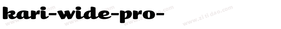 kari-wide-pro字体转换