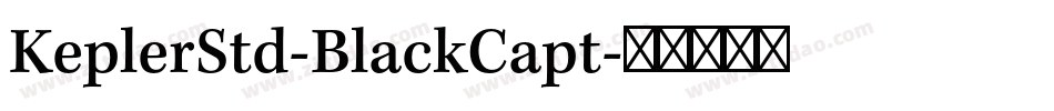 KeplerStd-BlackCapt字体转换