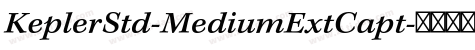 KeplerStd-MediumExtCapt字体转换