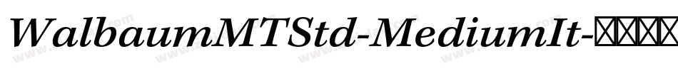 WalbaumMTStd-MediumIt字体转换