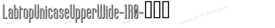 LabtopUnicaseUpperWide-1R0字体转换