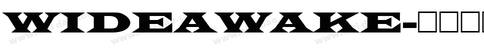 WIDEAWAKE字体转换