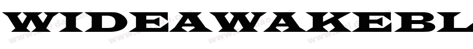 WIDEAWAKEBLACK字体转换