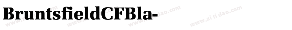 BruntsfieldCFBla字体转换