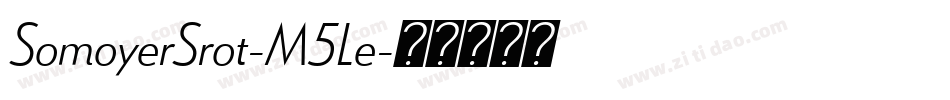 SomoyerSrot-M5Le字体转换