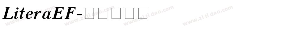 LiteraEF字体转换