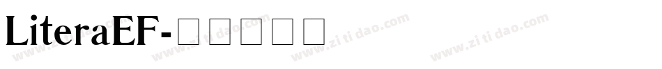 LiteraEF字体转换