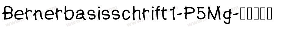 Bernerbasisschrift1-P5Mg字体转换