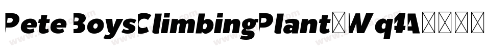 PeteBoysClimbingPlant-Wq4A字体转换