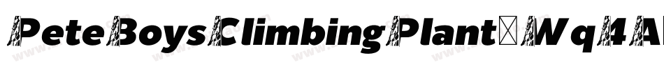 PeteBoysClimbingPlant-Wq4A字体转换