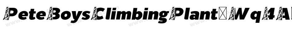 PeteBoysClimbingPlant-Wq4A字体转换