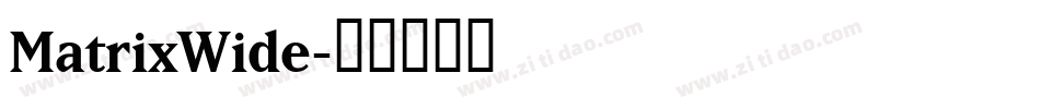 MatrixWide字体转换
