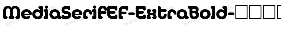 MediaSerifEF-ExtraBold字体转换
