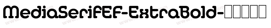MediaSerifEF-ExtraBold字体转换