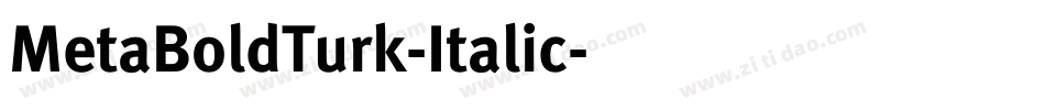 MetaBoldTurk-Italic字体转换