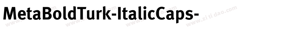 MetaBoldTurk-ItalicCaps字体转换