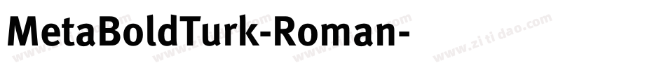 MetaBoldTurk-Roman字体转换
