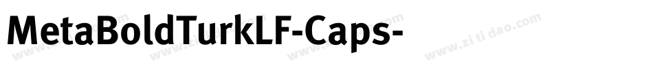 MetaBoldTurkLF-Caps字体转换