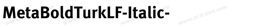 MetaBoldTurkLF-Italic字体转换