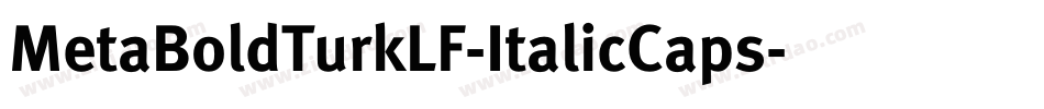 MetaBoldTurkLF-ItalicCaps字体转换