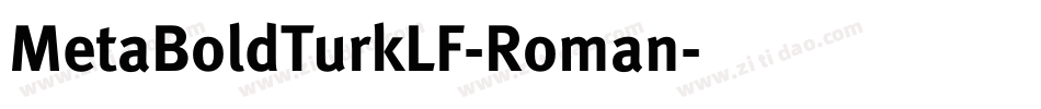 MetaBoldTurkLF-Roman字体转换