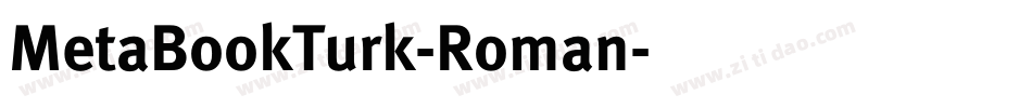 MetaBookTurk-Roman字体转换