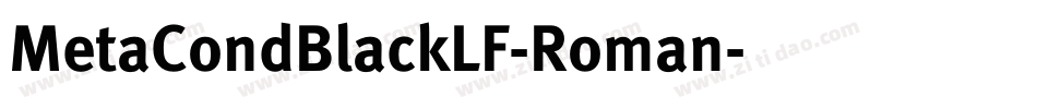 MetaCondBlackLF-Roman字体转换