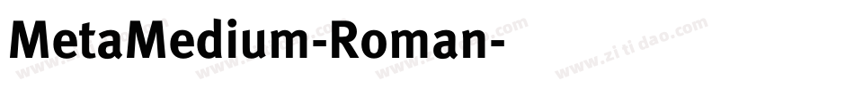 MetaMedium-Roman字体转换