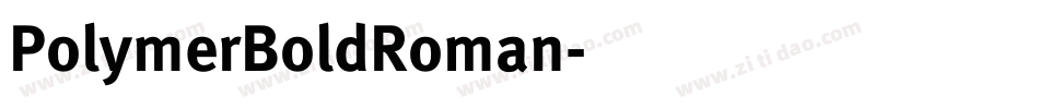 PolymerBoldRoman字体转换