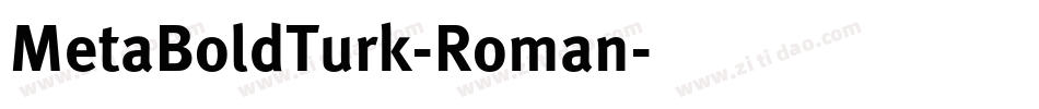 MetaBoldTurk-Roman字体转换