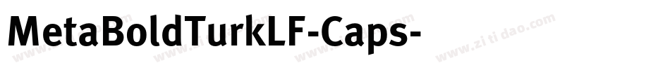 MetaBoldTurkLF-Caps字体转换