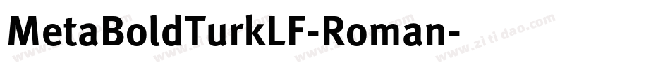 MetaBoldTurkLF-Roman字体转换