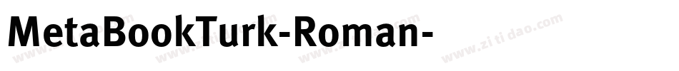 MetaBookTurk-Roman字体转换