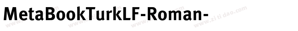 MetaBookTurkLF-Roman字体转换