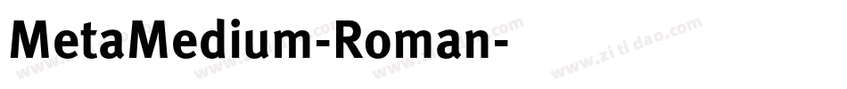 MetaMedium-Roman字体转换