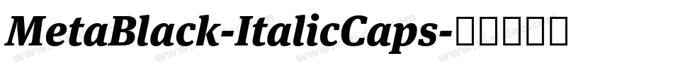 MetaBlack-ItalicCaps字体转换