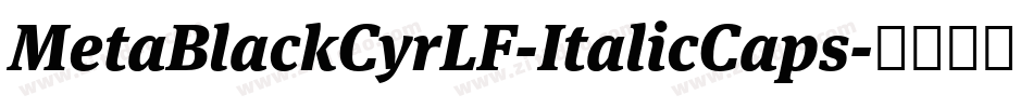 MetaBlackCyrLF-ItalicCaps字体转换