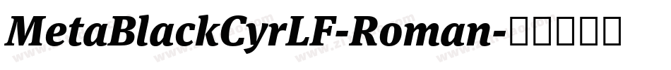 MetaBlackCyrLF-Roman字体转换