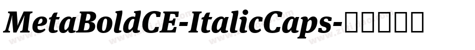 MetaBoldCE-ItalicCaps字体转换