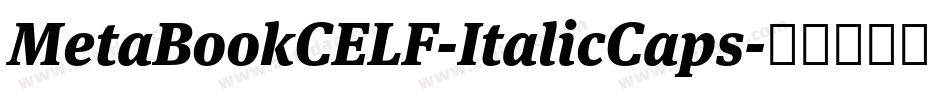 MetaBookCELF-ItalicCaps字体转换