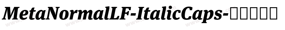 MetaNormalLF-ItalicCaps字体转换
